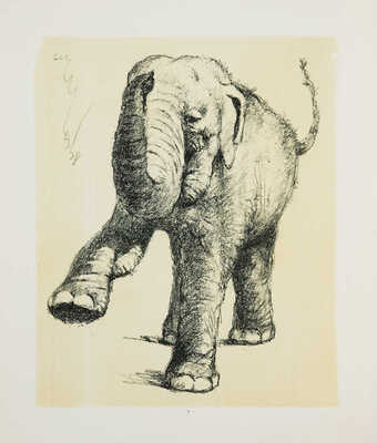 Шендеров Александр Семёнович. Слон (из серии «Цирк»)